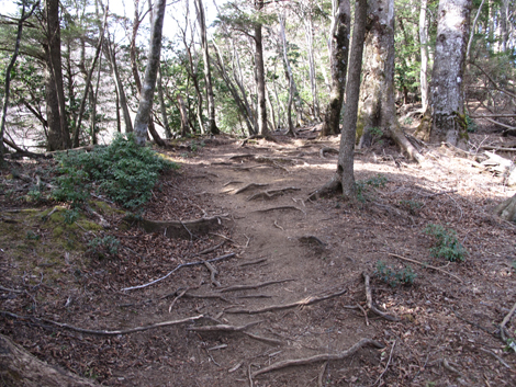 20190108hike (224)